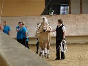 voltitag 2009 _CD1 084